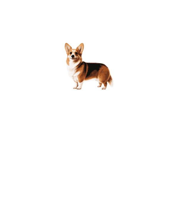 Corgi minta fehér pólón
