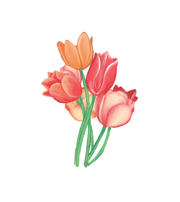 Tulipánok minta fehér pólón