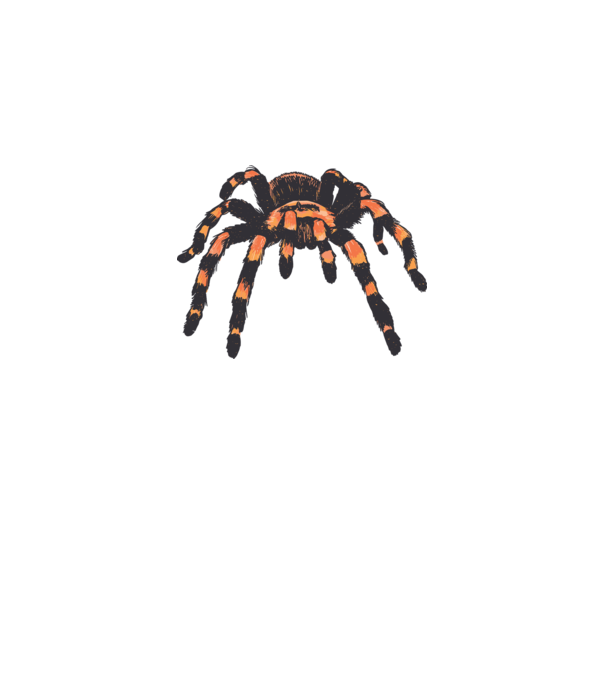 Tarantula minta fehér pólón