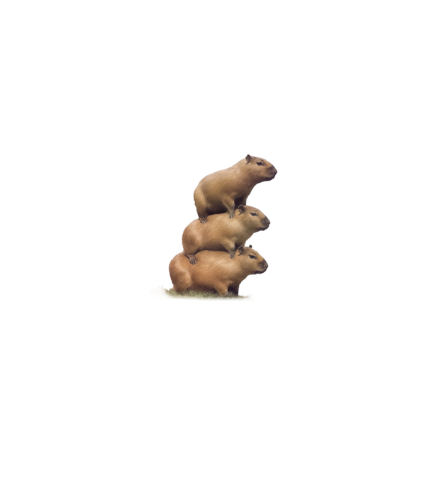 Capybara kupac minta fehér/piros pólón
