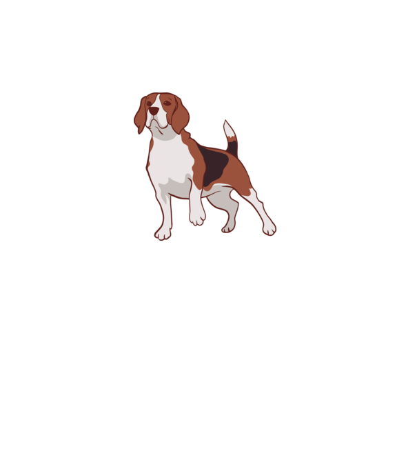 Beagle minta türkiz pólón