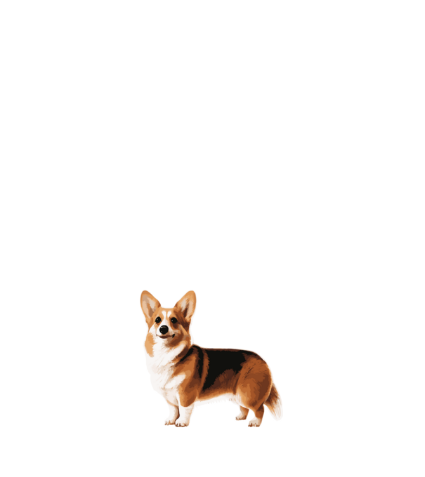 Corgi minta világoskék pólón