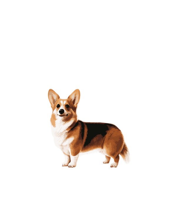 Corgi minta királykék pólón