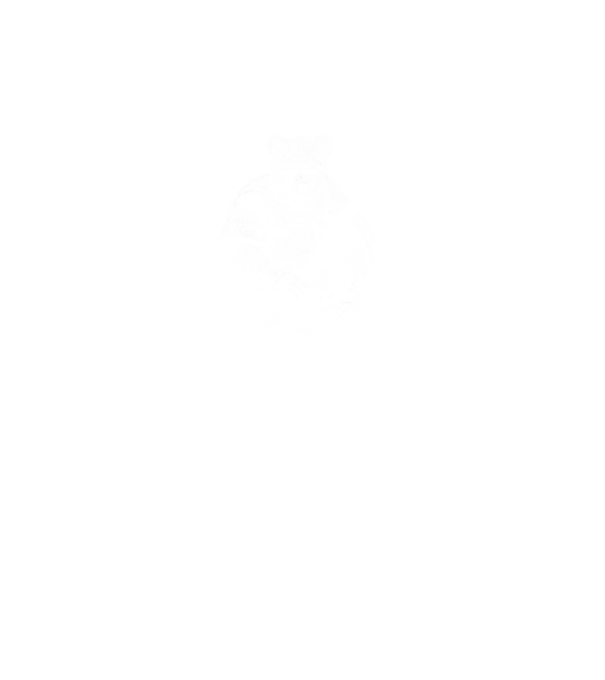 Viking maci minta türkiz pólón