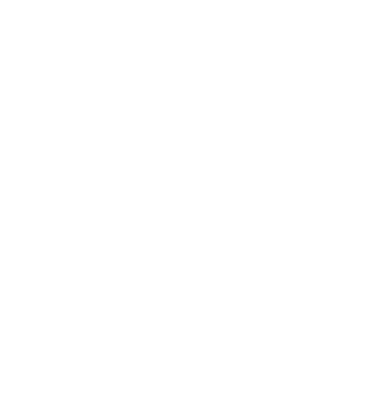 VANSöröd? v2 minta fekete pólón