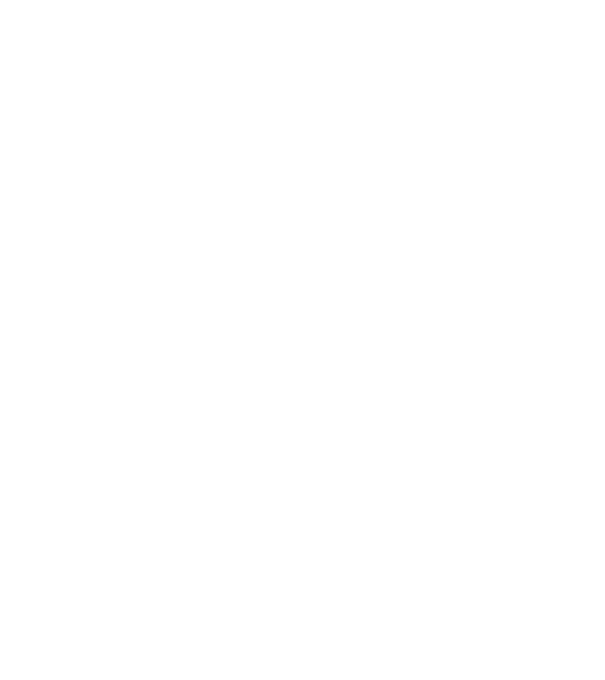 Magyar címer - S minta piros pólón