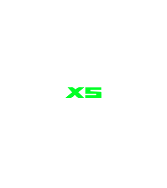 BMW X5 (4th gen) (G05) 2019 (logóval - nagy) linecar minta fekete pólón