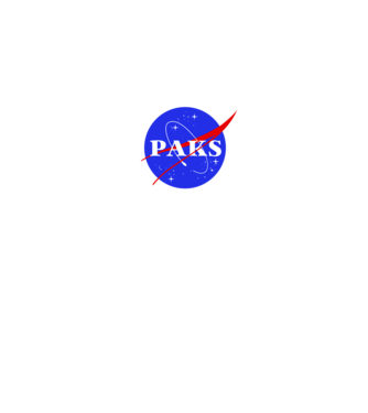 PAKS like NASA 02 minta fehér pólón
