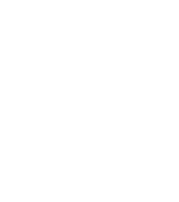 BMW 3 E46 linecar minta fekete pólón