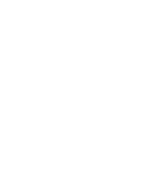 Toyota Corolla 12th gen 2018 linecar minta fekete pólón