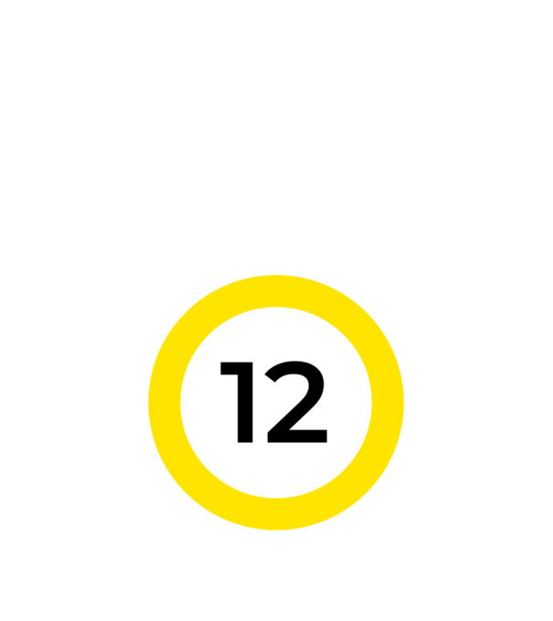 12 - korhatár - szülinap minta fehér pólón