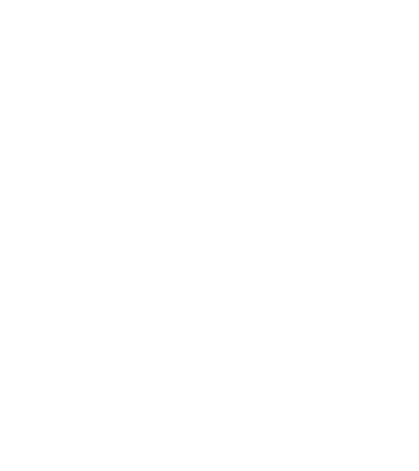 Dacia Duster (3rd gen.) 2024 linecar minta fekete pólón
