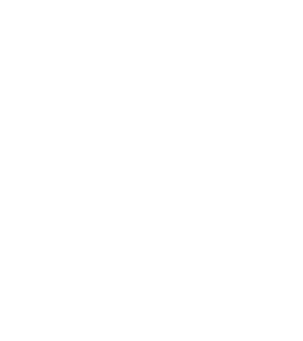 Tesla model S linecar minta fekete pólón