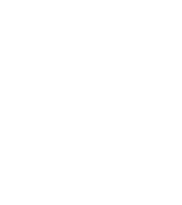 Toyota Corolla 12th gen 2018 linecar minta fekete pólón