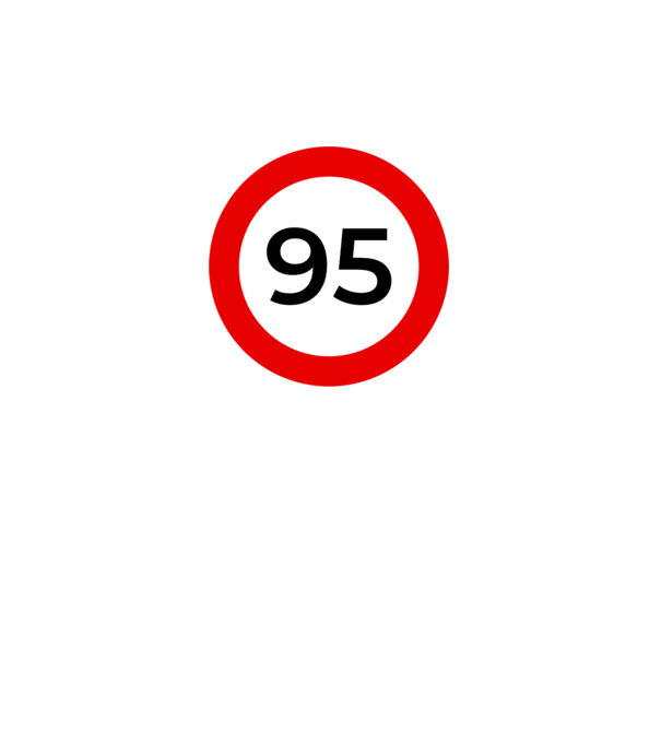 95 - korhatár - szülinap minta fehér pólón