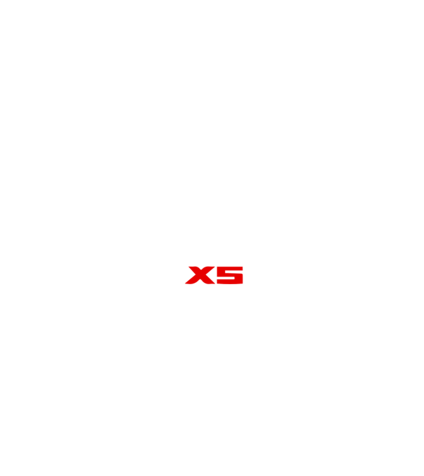 BMW X5 (4th gen) (G05) 2019 (logóval - közepes) linecar minta fekete pólón