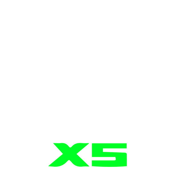 BMW X5 (4th gen) (G05) 2019 (logóval - nagy) linecar minta fekete pólón