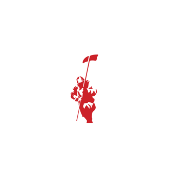 Hybrid Theory minta fekete pólón