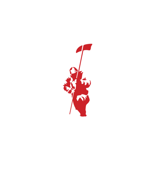 Hybrid Theory minta fekete pólón