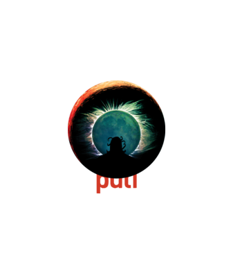 Puli Space Hawaii minta fekete pólón