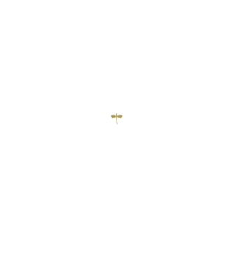 Basgiath Fourth Wing Negyedik szárny minta fekete pólón