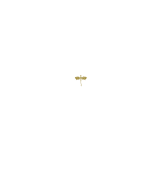 Basgiath Fourth Wing Negyedik szárny minta fehér pólón