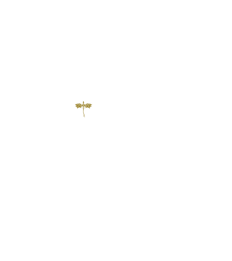 Basgiath Fourth Wing Negyedik szárny minta fekete pólón