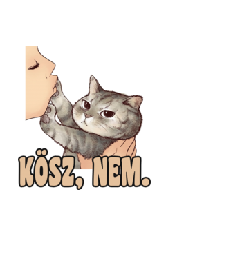 Kösz nem szüke cica minta világoskék pólón
