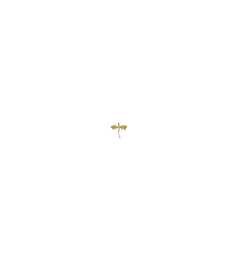 Basgiath Fourth Wing Negyedik szárny minta fehér pólón