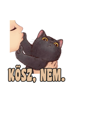 Kösz nem fekete cica minta világoskék pólón