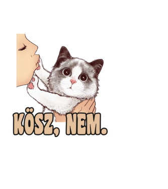 Kösz nem csodálkozó cica minta fehér pólón