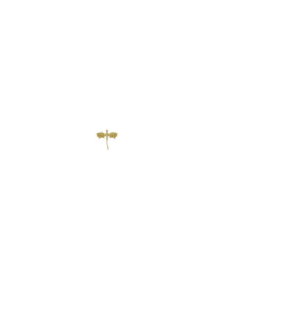 Basgiath Fourth Wing Negyedik szárny minta fekete pólón