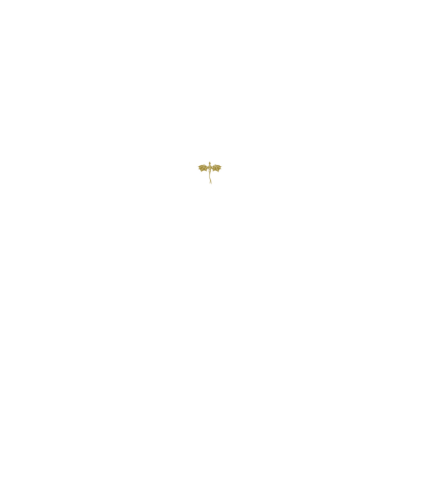 Basgiath Fourth Wing Negyedik szárny minta fekete pólón