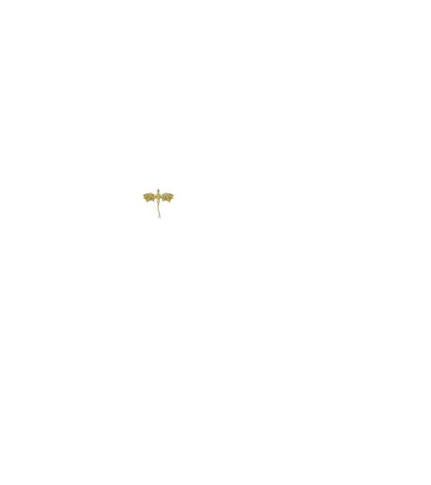 Basgiath Fourth Wing Negyedik szárny minta fekete pólón