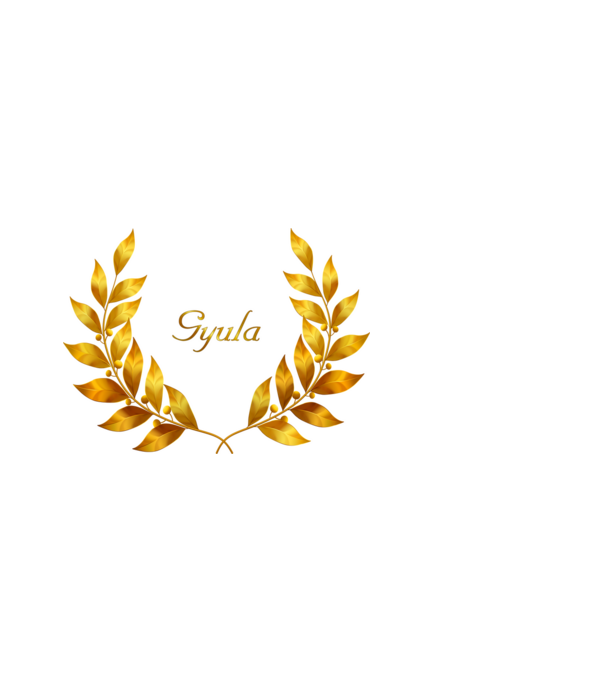Gyula minta fekete pólón