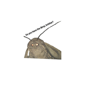 Moly minta fehér pólón