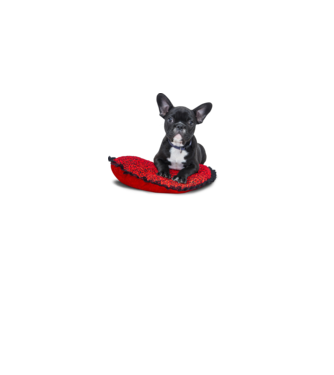 Francia Bulldog minta szürke pólón