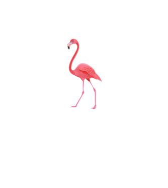 Flamingó minta bordó pólón
