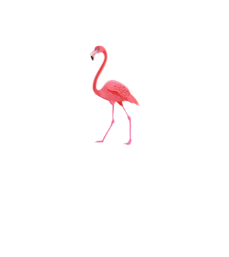 Flamingó minta fekete pólón