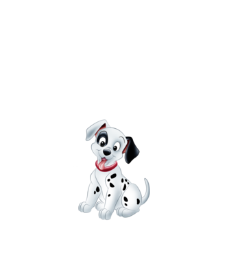 Kölyök dalmata kutya minta királykék pólón