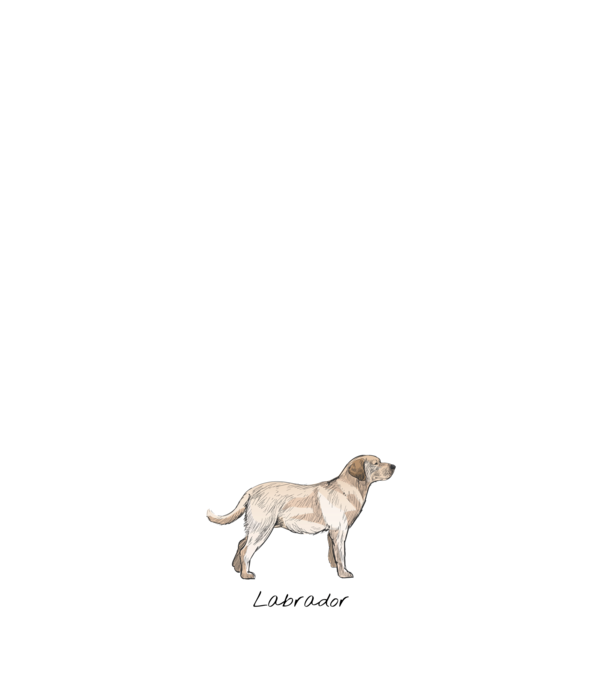 Labrador kutyás póló minta világos rózsaszín pólón