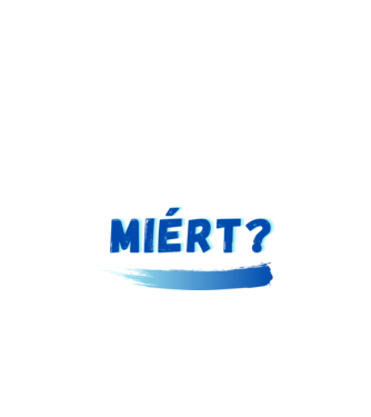 Miért? párós póló Férfi minta fekete pólón
