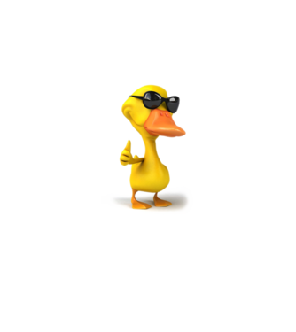 duck minta fehér pólón