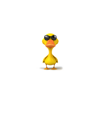 duck minta fehér pólón