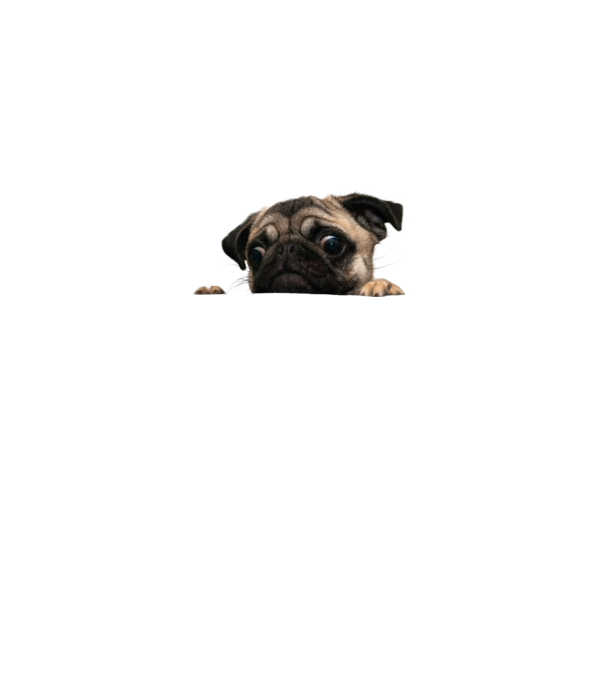 pug minta szürke pólón
