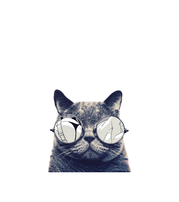 CoolCat minta homokszín pólón