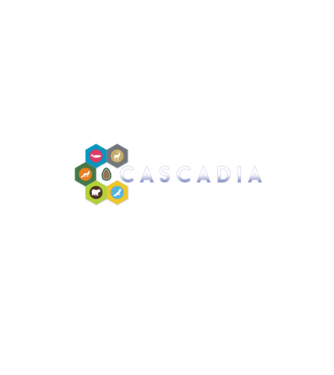 Cascadia minta fekete pólón