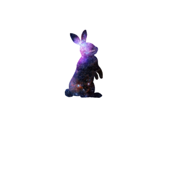 Galaxis nyuszi minta fehér pólón