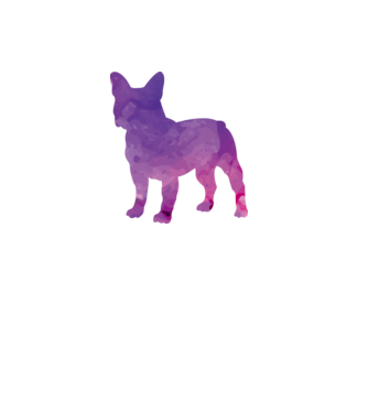 Francia bulldog minta fehér pólón