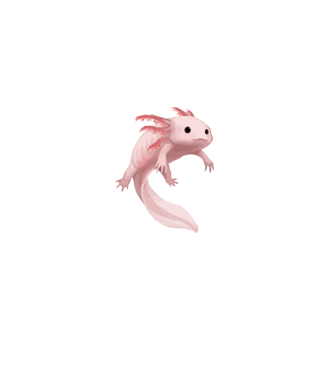 Axolotl minta fehér pólón